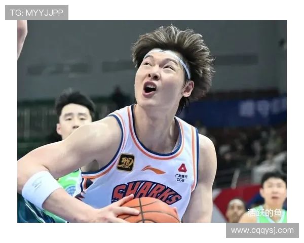 王哲林在CBA赛场的崛起与挑战:从新星到领袖的成长之路 王哲林在CBA赛场的崛起与挑战:从新星到领袖的成长之路