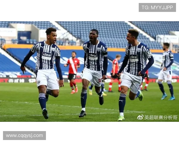 西布罗姆主场迎战莱切城双方争夺英超宝贵积分之战 西布罗姆主场迎战莱切城双方争夺英超宝贵积分之战