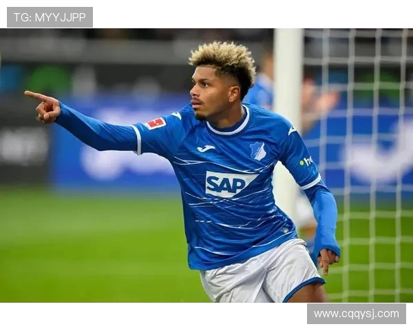 霍芬海姆主场迎战菲尔特期待精彩对决与精彩进球