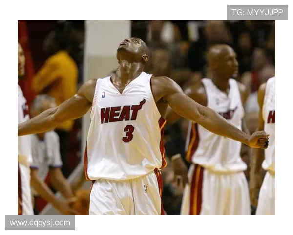 韦德在06季后赛对阵篮网的精彩表现与传奇时刻回顾