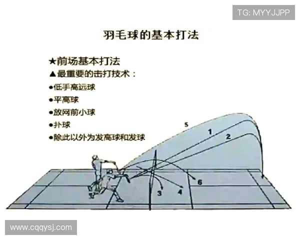 深入分析上海羽毛球队的整体压制战术及其对比赛的影响 深入分析上海羽毛球队的整体压制战术及其对比赛的影响