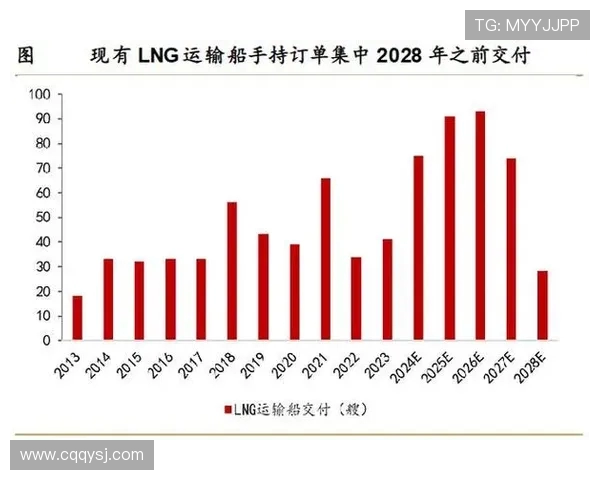 深度分析LNG市场的整体压制策略与未来发展趋势