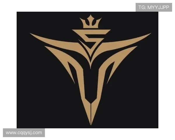 V5战队国际邀请赛背后的奋斗故事与荣耀之路