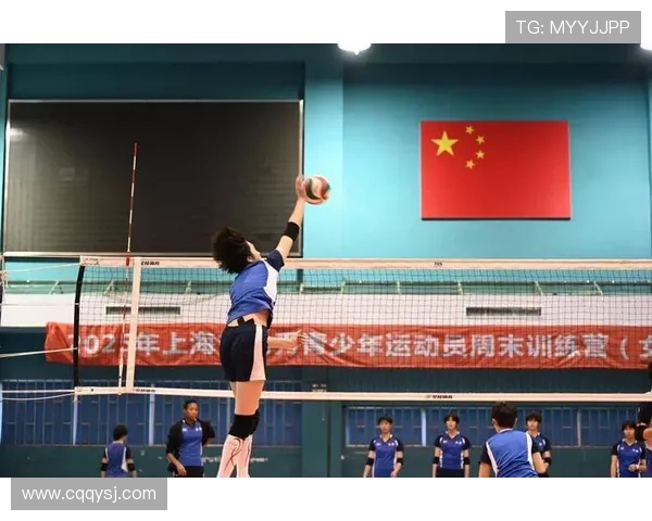 上海排球队的崛起与发展探秘展现排球运动的力量与魅力