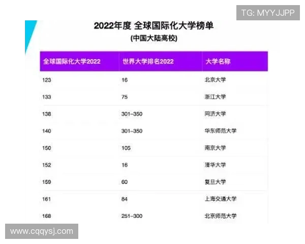 成都排球队实力飙升再创佳绩引发全国关注与期待